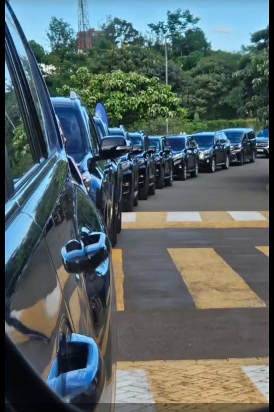 4x4 safari vehicles parked in a line
