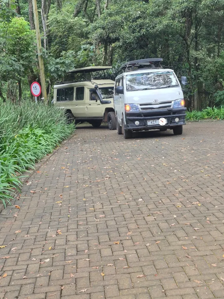 Safari Land Cruiser with a pop-up roof next to a van